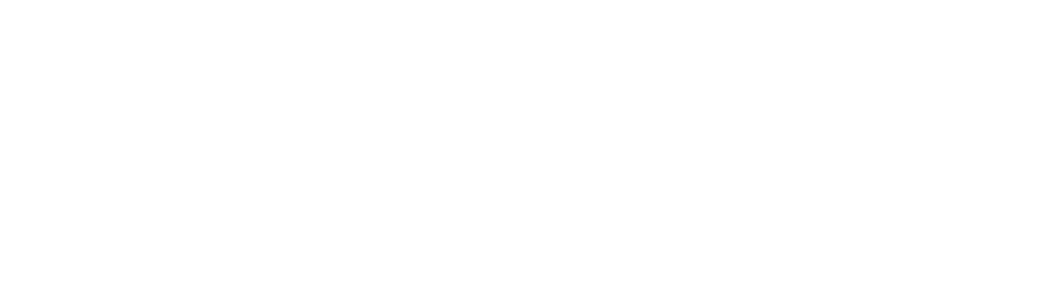 logo-fyber